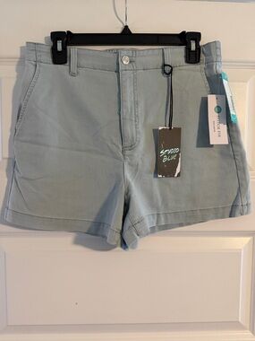 Studio Light Sage Cotton-Blend Jean Shorts